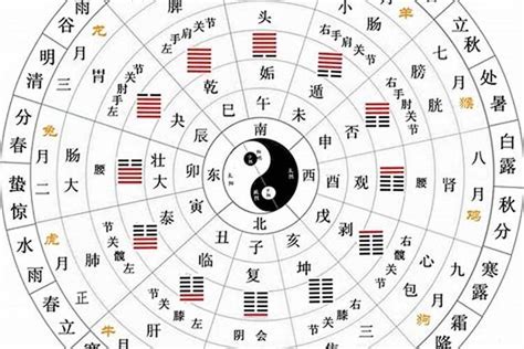 陰火年南部生人在北|八字干支解讀——丁卯：這種人都是自帶顏值、人緣雙佳的！